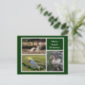 クリスマス動物のオーストラリアのスタイル- Personalizable シーズンポストカード (スタンド正面)