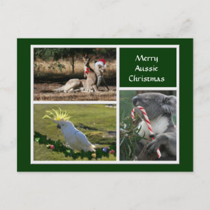 クリスマス動物のオーストラリアのスタイル- Personalizable シーズンポストカード