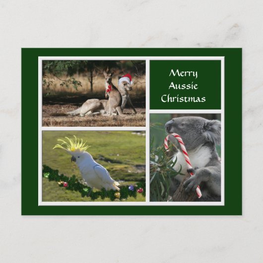 クリスマス動物のオーストラリアのスタイル- Personalizable シーズンポストカード (正面)