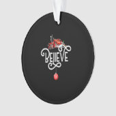 クリスマス北極表現極全クリスマス オーナメント (正面)