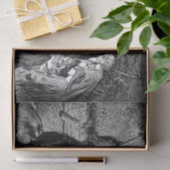 クリスマス図解入りの、写真付きの出生シーン 薄葉紙 (ギフト)