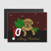 クリスマス子犬 (正面/裏面)