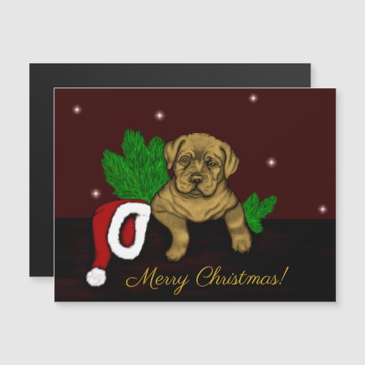 クリスマス子犬 (正面/裏面)