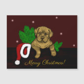 クリスマス子犬 (正面)