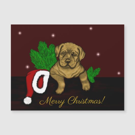 クリスマス子犬 (正面)