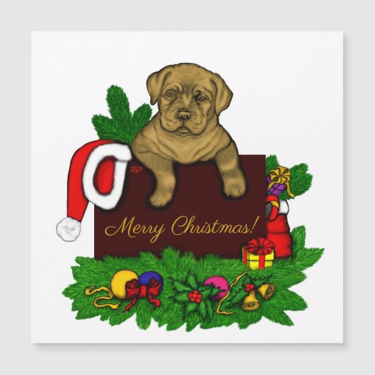 クリスマス子犬 (正面)