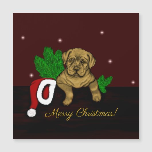 クリスマス子犬 (正面)