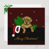 クリスマス子犬 シーズンカード (正面/裏面)