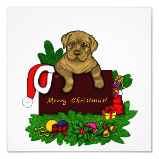 クリスマス子犬 フォトプリント            (正面)