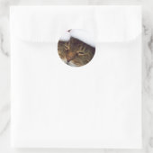 クリスマス子猫シール ラウンドシール (バッグ)