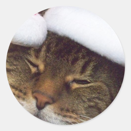 クリスマス子猫シール ラウンドシール (正面)