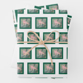 クリスマス子猫ラッピング紙 ラッピングペーパーシート (インサイチュ)