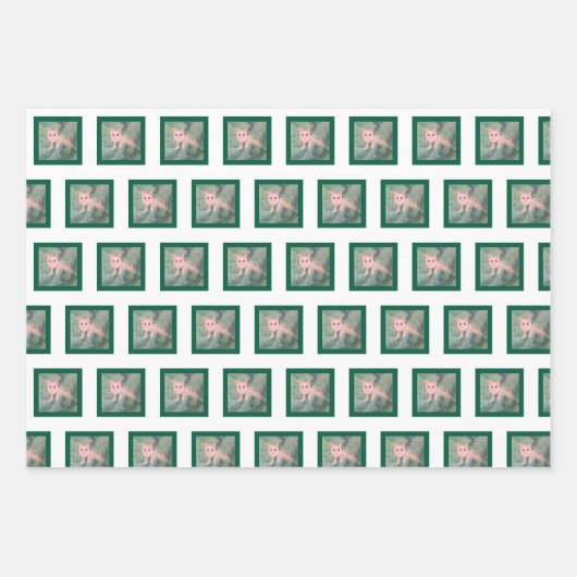 クリスマス子猫ラッピング紙 ラッピングペーパーシート (正面)