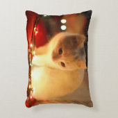 クリスマス子猫枕 アクセントクッション (正面(垂直))