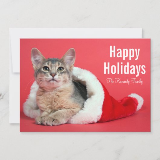 クリスマス子猫 シーズンカード (正面)