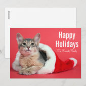 クリスマス子猫 シーズンカード (正面/裏面)