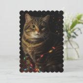 クリスマス子猫 シーズンカード (スタンド正面)