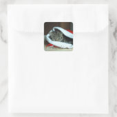 クリスマス子猫 スクエアシール (バッグ)