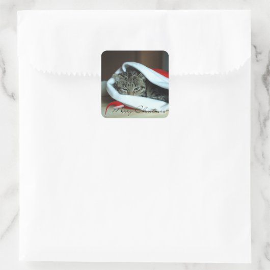 クリスマス子猫 スクエアシール (バッグ)