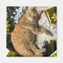 クリスマス子猫 マグネット