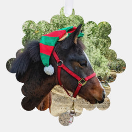 クリスマス子馬 オーナメントカード