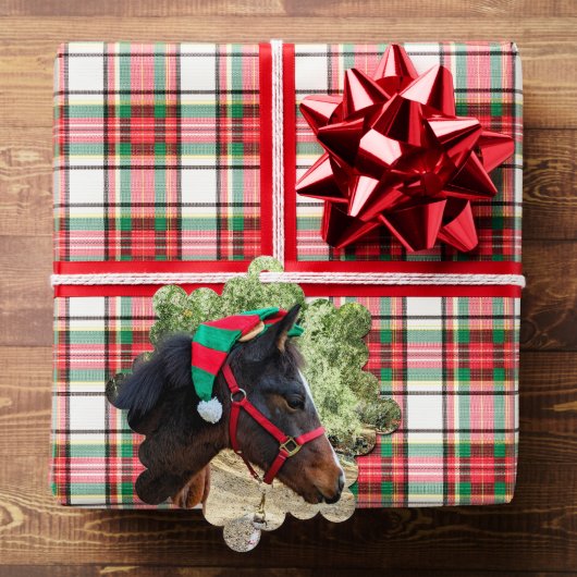 クリスマス子馬 オーナメントカード (インサイチュ (ギフト))