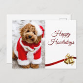 クリスマス季節のごあいさつコックパプフレンズ ポストカード (正面/裏面)