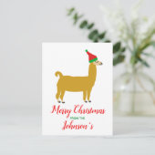 クリスマス家族のラマのポストカード ポストカード (スタンド正面)