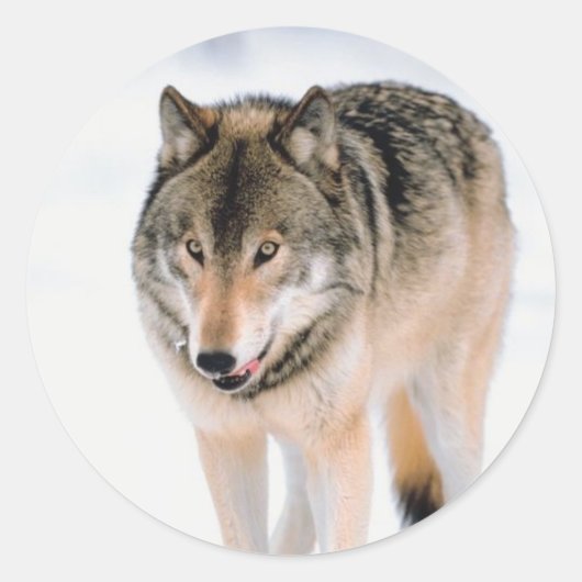 クリスマス封筒用シール ラウンドシール (正面)