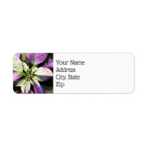 クリスマス差出人住所ラベル- Lav Poinsettias