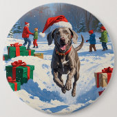クリスマス帽をかぶったスノーでのワイマラナー 缶バッジ (正面)