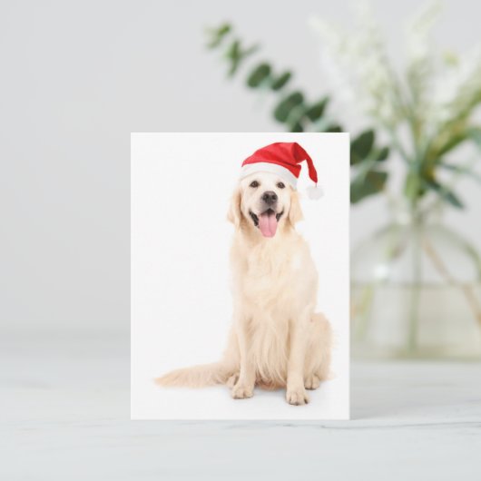 クリスマス帽をかぶった犬 シーズンポストカード (スタンド正面)