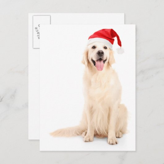 クリスマス帽をかぶった犬 シーズンポストカード (正面/裏面)