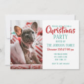 クリスマス帽子のフレンチブルドッグ 招待状 (正面)