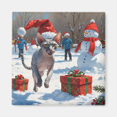 クリスマス帽子をかぶって雪の中を走るスフィンクス猫 マグネット (正面)