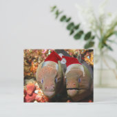 クリスマス忘れのウナギを食うな シーズンポストカード (スタンド正面)