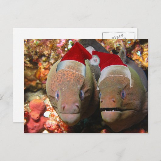 クリスマス忘れのウナギを食うな シーズンポストカード (正面/裏面)