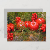 クリスマス応援はがき ポストカード (正面/裏面)