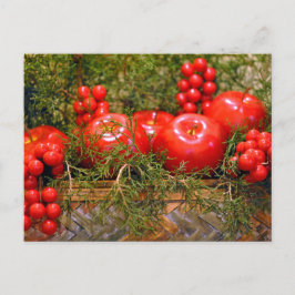 クリスマス応援はがき ポストカード