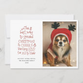 クリスマス応援ペットフォトホリデーカード シーズンカード (正面)