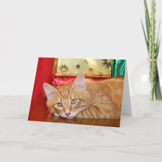 クリスマス急ぎ シーズンカード (正面)