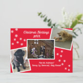 クリスマス恵み シーズンカード (スタンド正面)