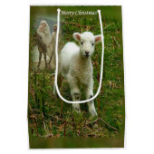 クリスマス抱き枕イエスキリスト ミディアムペーパーバッグ (裏面)