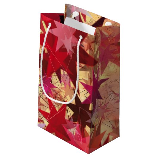 クリスマス抽象芸術星 スモールペーパーバッグ (裏面アングル)
