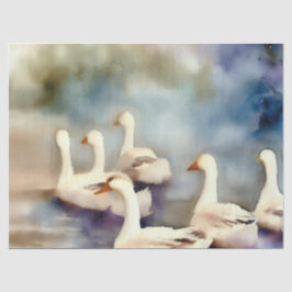 クリスマス日十二回：ゲーゼの産卵(B)、 薄葉紙