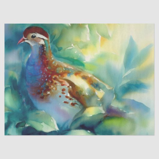 クリスマス日12回:パトリッジ(D) 薄葉紙 (正面)