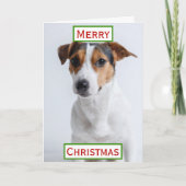 クリスマス最高のドッグパパのペットの写真 カード (正面)