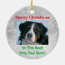 クリスマス最高のドッグパパのペットの写真