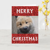 クリスマス最高のドッグママのペットの写真 カード (黄色い花)