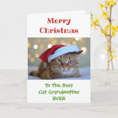 クリスマス最高の猫の祖母が撮った写真 カード (黄色い花)